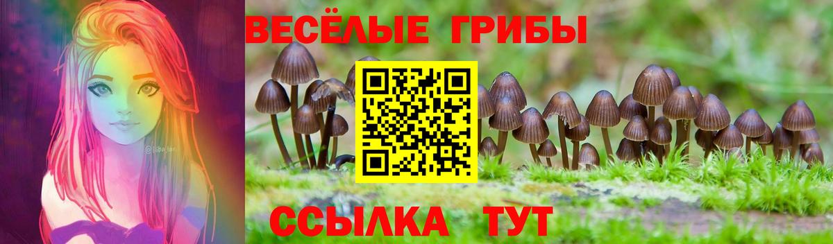 Александров  Галлюциногенные грибы Magic Shrooms  Вход с VPN 